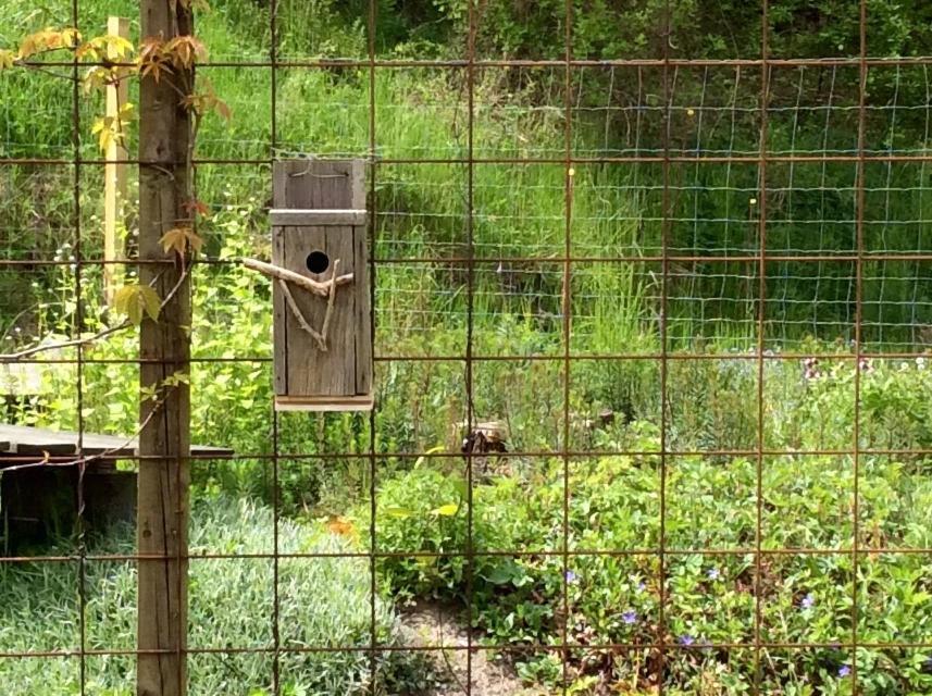 Bergliot Bed & Breakfast Hundested ภายนอก รูปภาพ